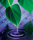 cover_image.jpg